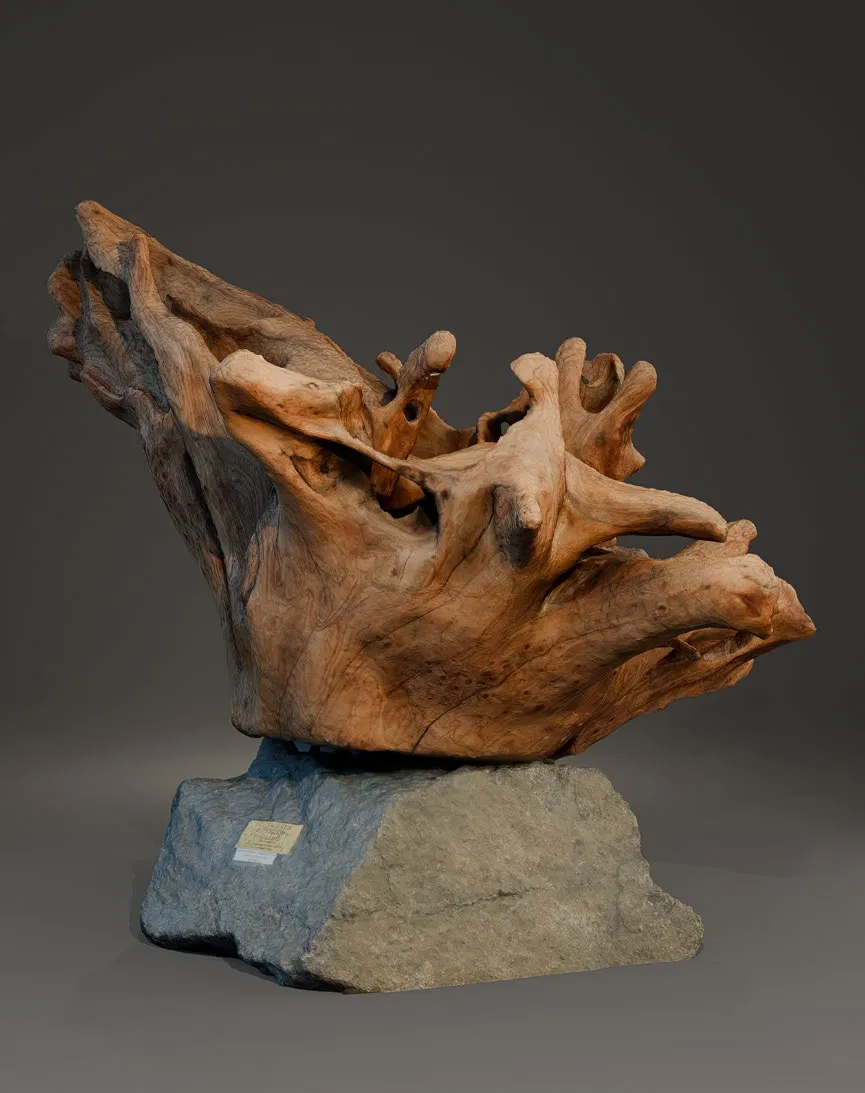 Орхидея (светильник) - View 1